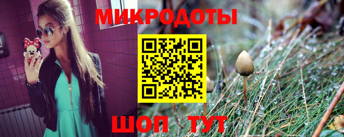 Алапаевск  Псилоцибиновые грибы Psilocybe  Вход с VPN  Псилоцибиновые грибы ЛСД 